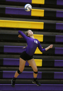 Sophie McMullen rises for a serve Saturday during the substate tournament.